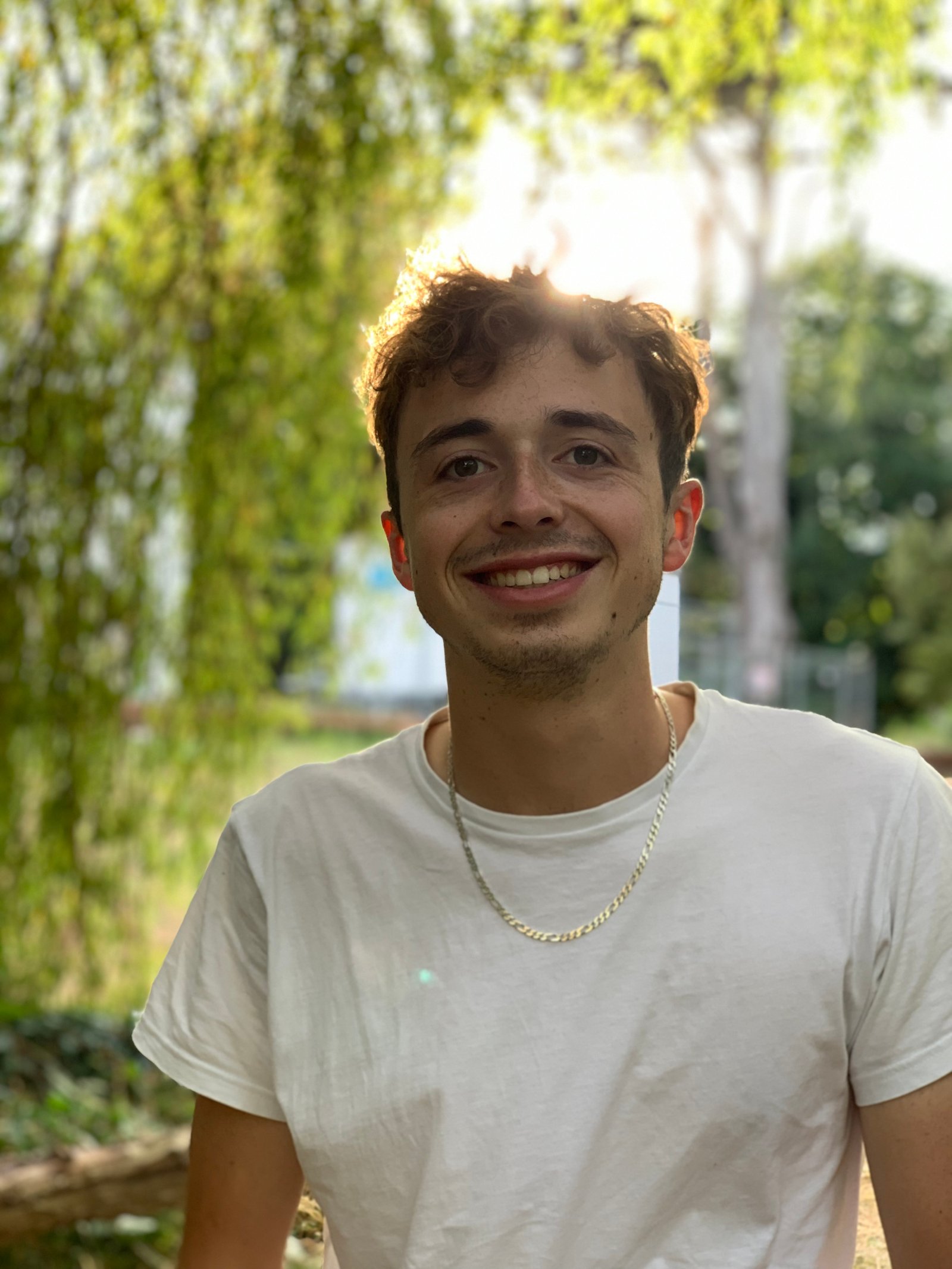 Louis Cerclé - Développeur Web Full-Stack